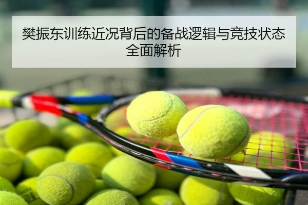 樊振东训练近况背后的备战逻辑与竞技状态全面解析
