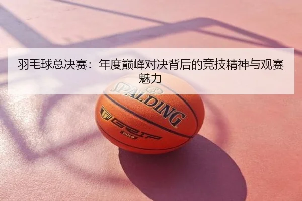 羽毛球总决赛：年度巅峰对决背后的竞技精神与观赛魅力